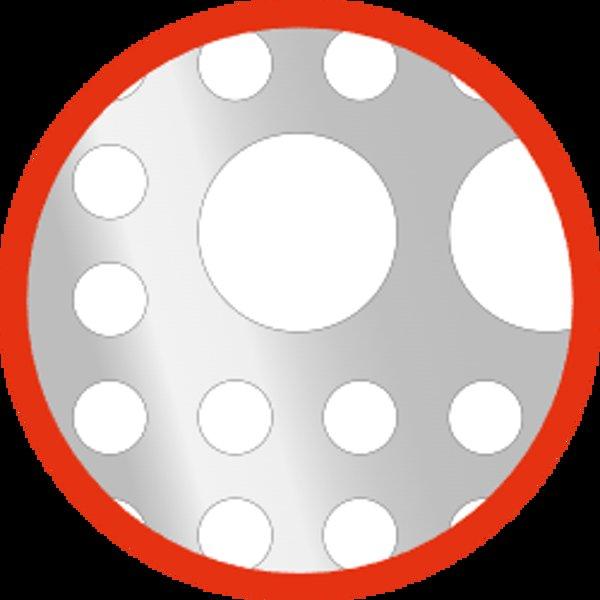 Gaggia ESPRESSO EVOLUTION (BLACK)